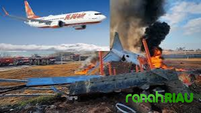 Ada WNI di Insiden Pesawat Jeju Air Korsel? Berikut penjelasan dan Kronologinya